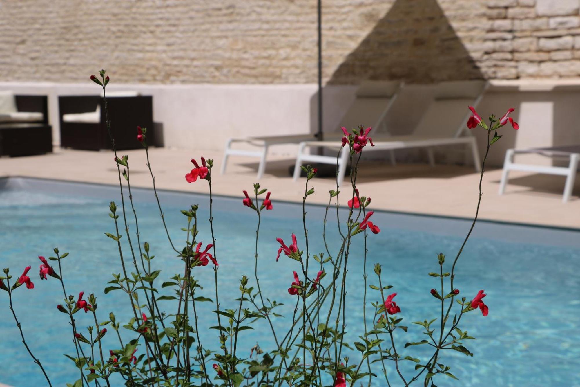 La Villa Lombardi En Champagne, Avec Piscine Privee Et Jacuzzi Les Riceys Eksteriør billede
